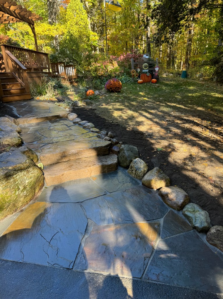 The current image has no alternative text. The file name is: img_5369.jpg